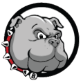 bulldog