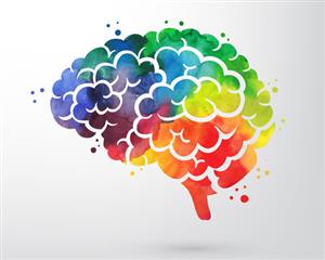 brain brain