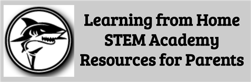 Stem Academy Homepage